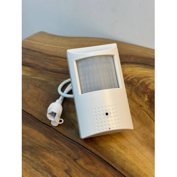 Прихована камера IP відеоспостереження WI FI з дачиком руху 